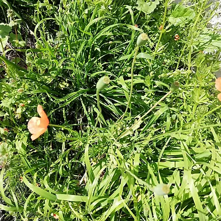 120 Rodionoff - Connection With Airport And Mondello 4* Palermo