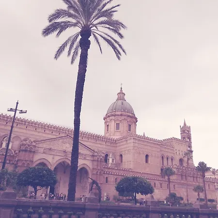 120 Rodionoff - Connection With Airport And Mondello Palermo