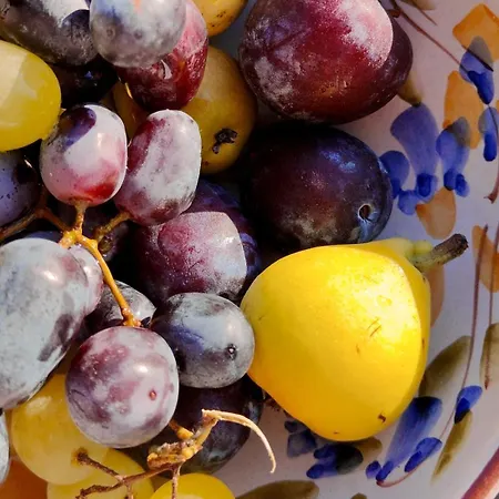 120 Rodionoff - Connection With Airport And Mondello