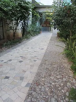 120 Rodionoff Palermo